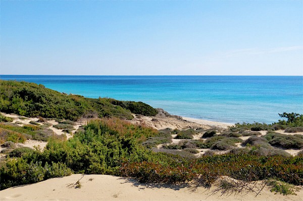 dune campomarino